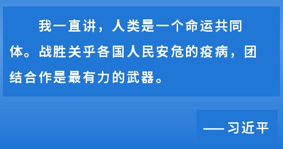 最新疫情发展，全球抗疫战中的新挑战与应对策略