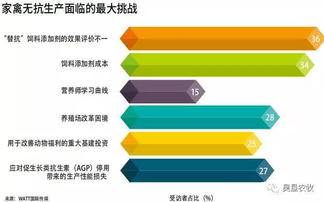 最新疫情下的养殖业挑战与应对策略