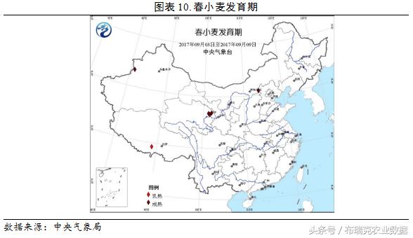 最新面粉价格动态，市场趋势、影响因素及未来展望