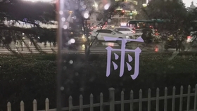 深圳下雨最新，一场雨，一座城的情感共鸣