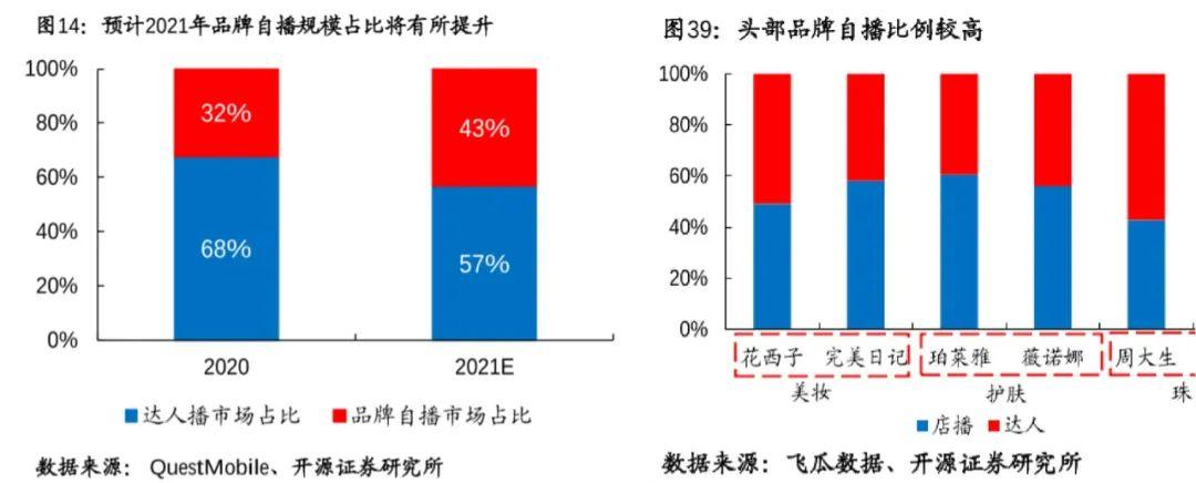 QM最新数据，揭示数字营销新趋势与机遇