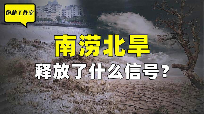 蝗灾最新状况，全球粮食安全与生态平衡的严峻挑战