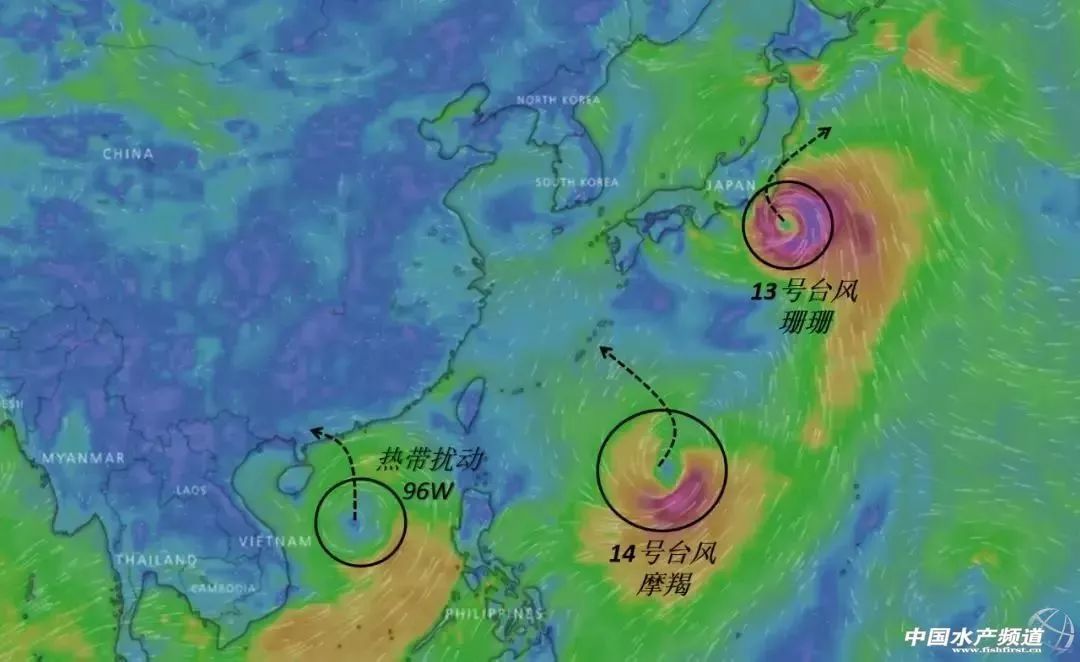 3最新台风，风暴中的挑战与应对