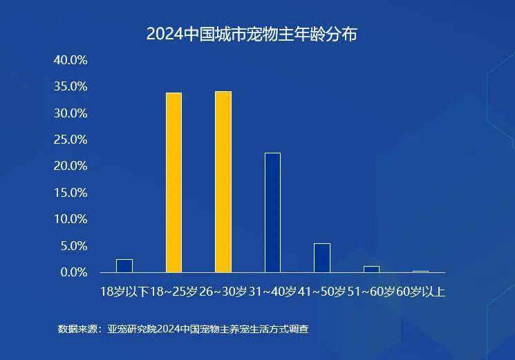 宠物风暴最新，探索宠物行业的变革与趋势