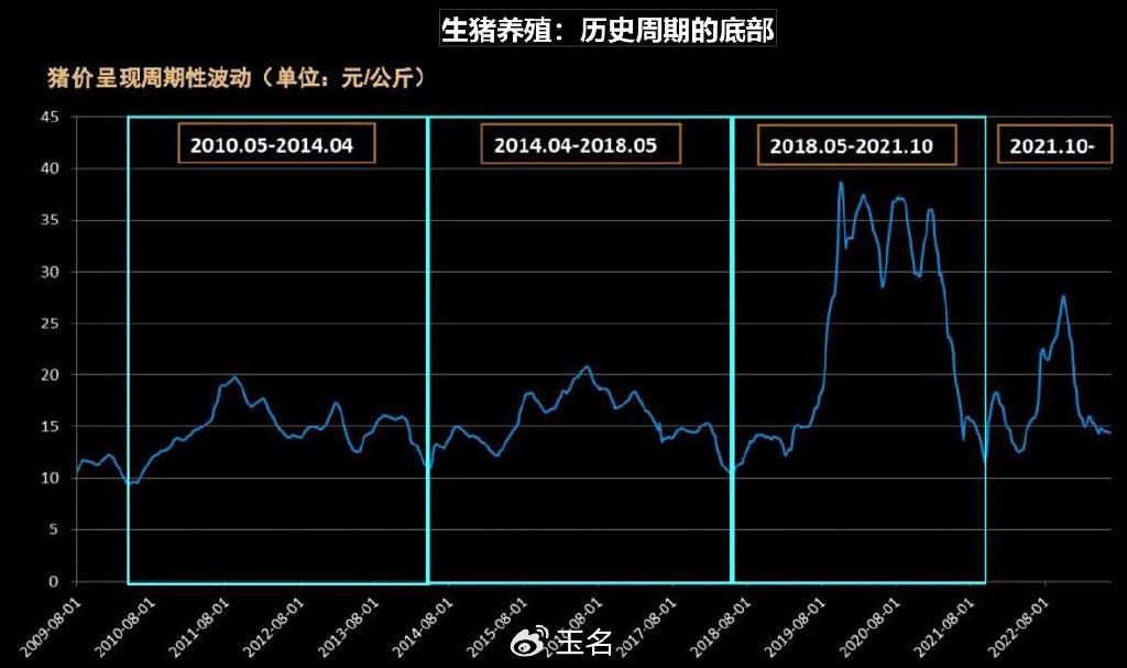 猪肉基金最新动态，市场趋势、投资策略与风险分析