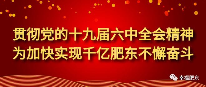 最新肥东疫情，防控措施与公众健康意识的双重提升